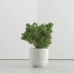 Glas vom Typ ESG Float 6mm Klarglas
