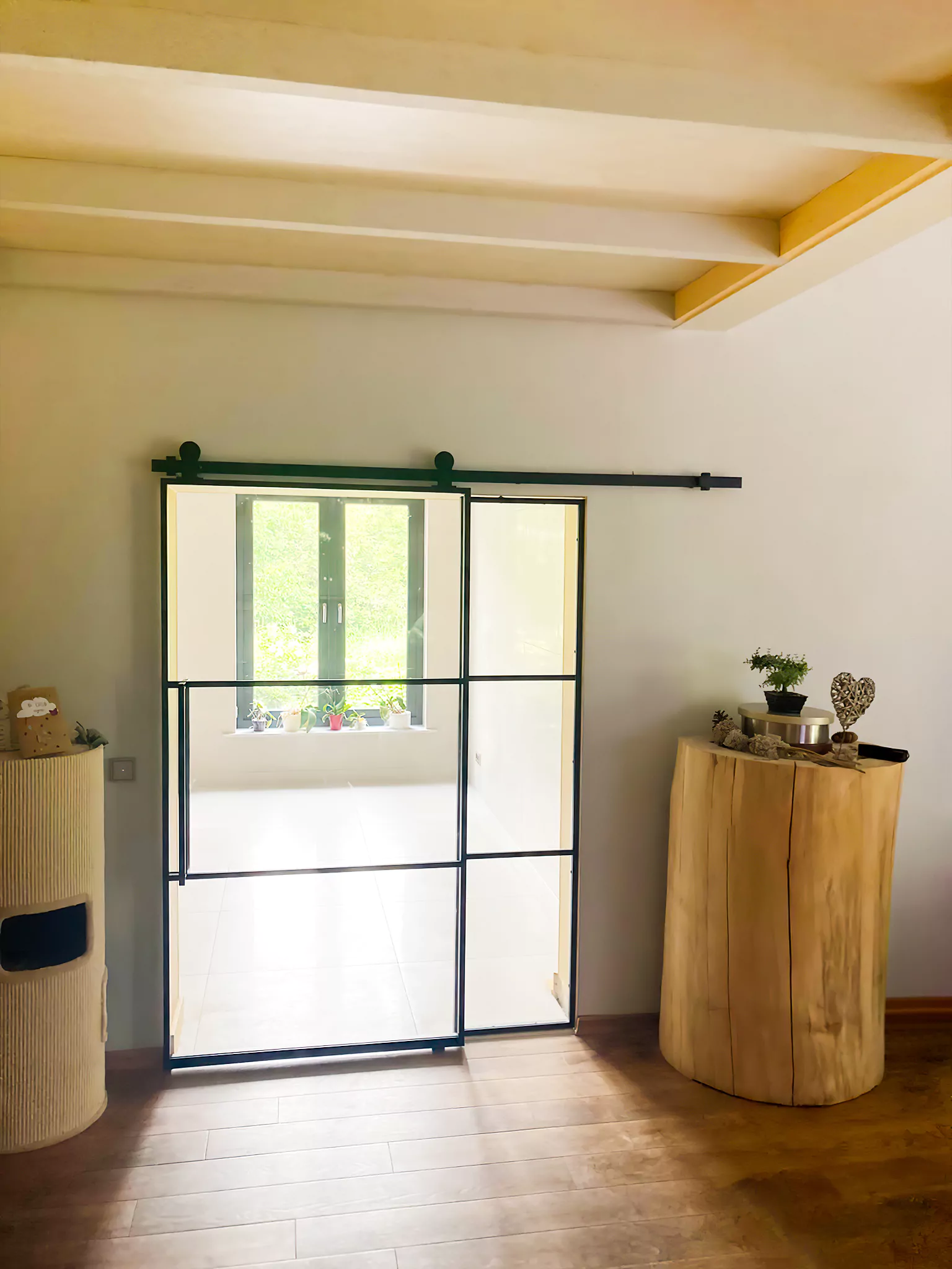 Schiebetür (Loft Art) (3)