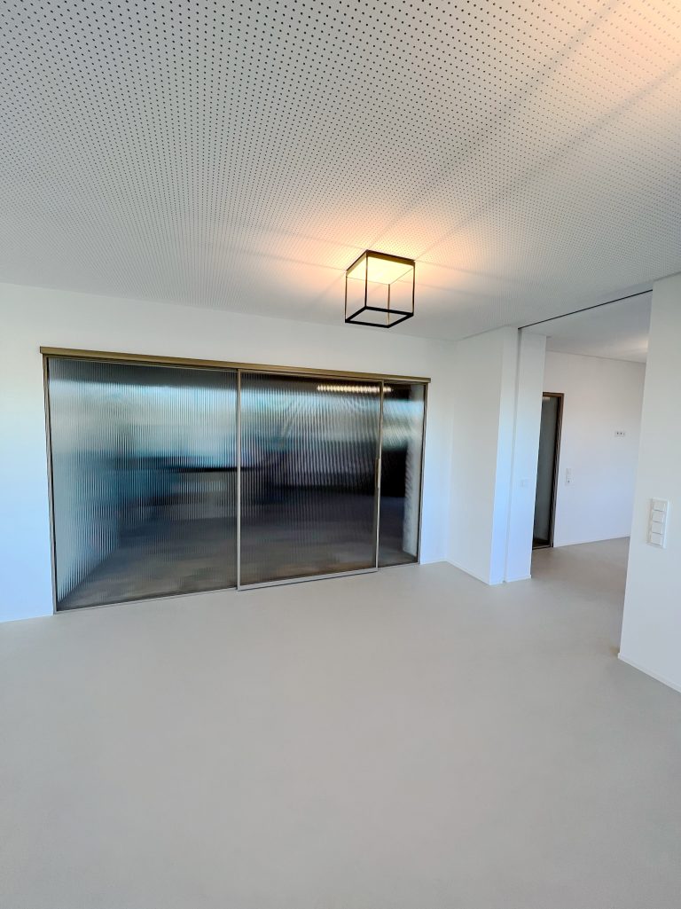 Interior Design 12 einzeltür-schiebetür-classic-37-strukturglas